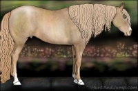 Horse Color:Liver Chestnut Pearl Sabino Brindle