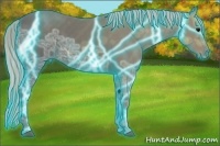 Horse Color:Thunderstruck Silver Black Ice