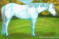 Horse Color:Thunderstruck Bay Ice Appaloosa