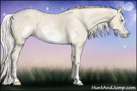 Horse Color:Cremello Sabino Frame Brindle