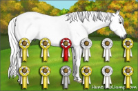 Horse Color:Gray Silver Buckskin Tobiano 