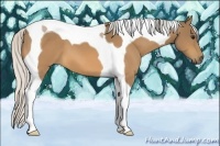 Horse Color:Silver Buckskin Tobiano 