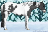 Horse Color:Smoky Blue Roan Tobiano Frame