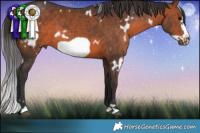 Horse Color:White Spotted Brown Frame 