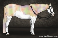 Horse Color:Nacre Liver Red Dun Pearl Splash  Brindle