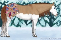 Horse Color:Red Dun Splash  Brindle