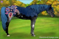 Horse Color:ERROR: UNKNOWN ANOMALY Brindle