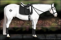 Horse Color:White Spotted Bay Splash Snowcap Rabicano 