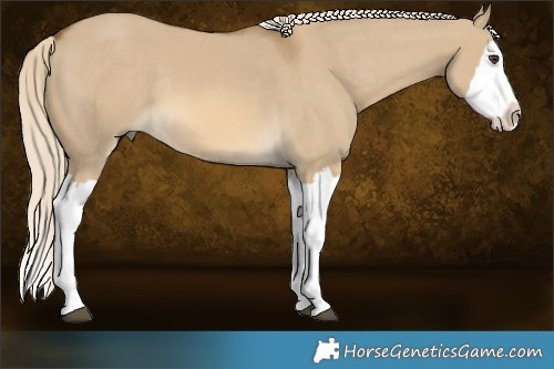 Horse Color:Chocolate Palomino Dun Splash  Brindle