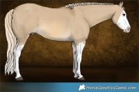 Horse Color:Chocolate Palomino Dun Splash  Brindle