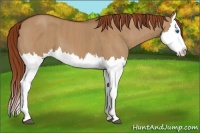 Horse Color:Red Dun Splash  Brindle