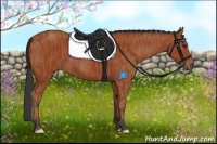 Horse Color:Bay  Brindle