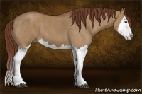 Horse Color:Red Dun Splash Brindle