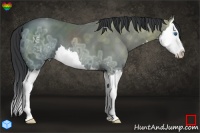 Horse Color:Black Ice Splash 