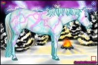 Horse Color:Thunderstruck White Spotted Bay Varnish