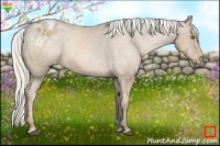 Horse Color:Silver Black Pearl Varnish 