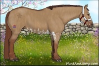 Horse Color:Red Dun Splash  Brindle