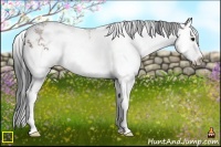 Horse Color:Bay Sabino Splash Rabicano 