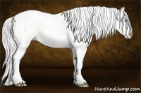 Horse Color:Cremello Dun Splash Tobiano 