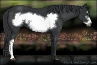 Horse Color:Black Frame 