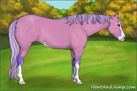 Horse Color:Watercolor Silver Grullo Sabino