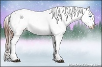 Horse Color:White Spotted Bay Roan Splash Appaloosa Rabicano