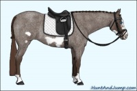 Horse Color:Liver Red Roan Frame Rabicano 