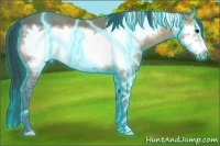 Horse Color:Thunderstruck Buckskin Ice Frame 