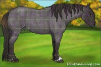 Horse Color:Plaid Liver Red Roan Sabino Rabicano