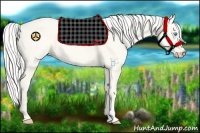 Horse Color:Silver Smoky Creme Dun 