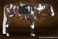 Horse Color:White Spotted Silver Brown Splash
