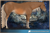 Horse Color:Chocolate Palomino 