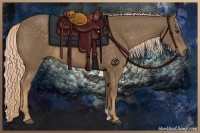 Horse Color:Chocolate Palomino 