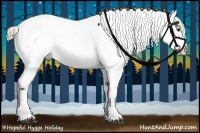 Horse Color:Liver Chestnut Tobiano Appaloosa