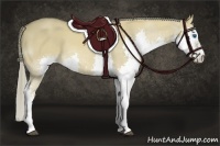 Horse Color:Chocolate Palomino Dun Splash