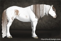 Horse Color:White Spotted Black Pearl Splash Tobiano