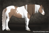 Horse Color:Black Pearl Splash Tobiano 