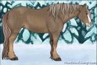 Horse Color:Chocolate Palomino Splash