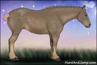 Horse Color:Chocolate Palomino 