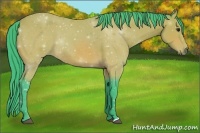 Horse Color:Watercolor Buckskin 