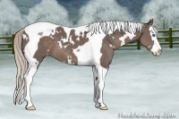 Horse Color:White Spotted Silver Black Splash Tobiano 