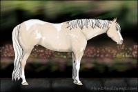 Horse Color:White Spotted Silver Buckskin Pearl Splash Tobiano 