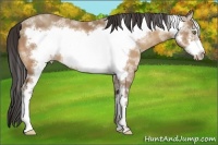 Horse Color:White Spotted Amber Champagne Frame 