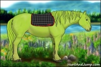 Horse Color:Watercolor Chestnut 