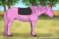 Horse Color:Watercolor Chestnut 