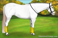 Horse Color:White Spotted Black Splash Tobiano Frame Appaloosa 