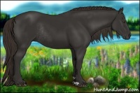 Horse Color:Liver Chestnut Rabicano