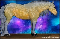 Horse Color:Watercolor Bay Ice 