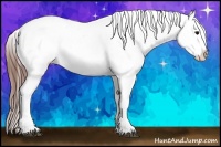 Horse Color:White Spotted Black Splash Tobiano Frame Near Leopard 
