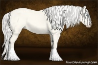 Horse Color:Silver Smoky Creme Dun 